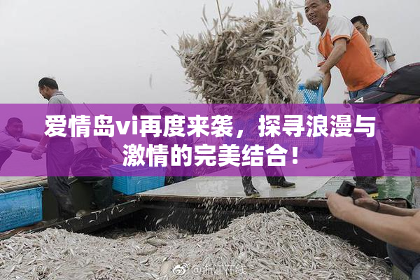 爱情岛vi再度来袭，探寻浪漫与激情的完美结合！
