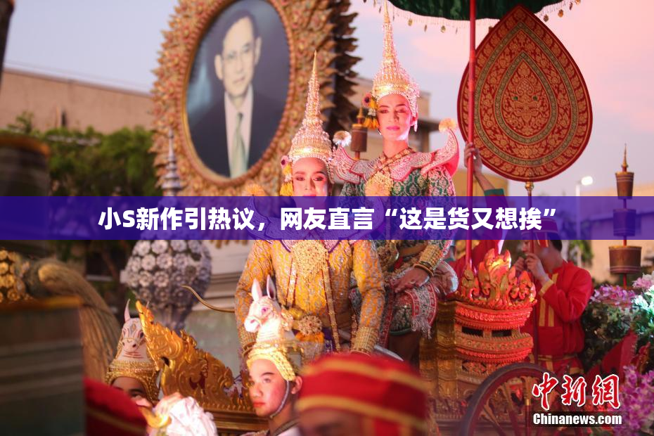 小S新作引热议，网友直言“这是货又想挨”