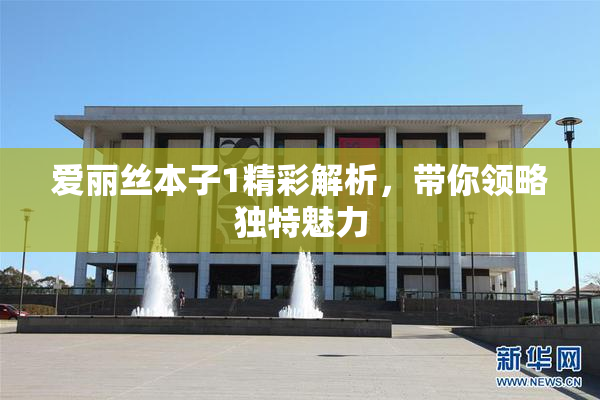 爱丽丝本子1精彩解析，带你领略独特魅力