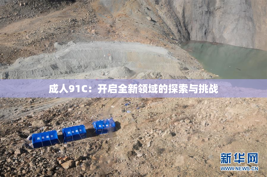 成人91C：开启全新领域的探索与挑战
