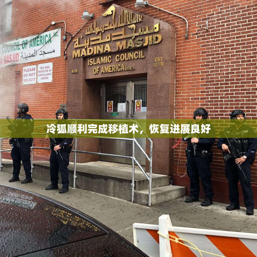 冷狐顺利完成移植术，恢复进展良好