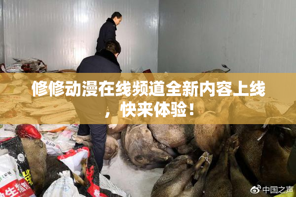修修动漫在线频道全新内容上线，快来体验！