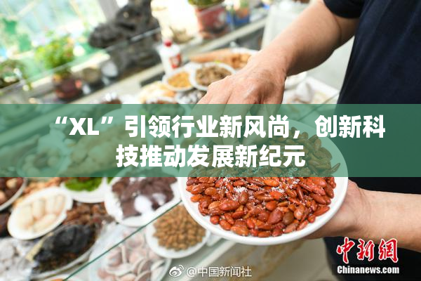 “XL”引领行业新风尚，创新科技推动发展新纪元