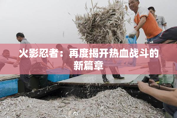 火影忍者：再度揭开热血战斗的新篇章
