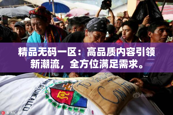 精品无码一区：高品质内容引领新潮流，全方位满足需求。
