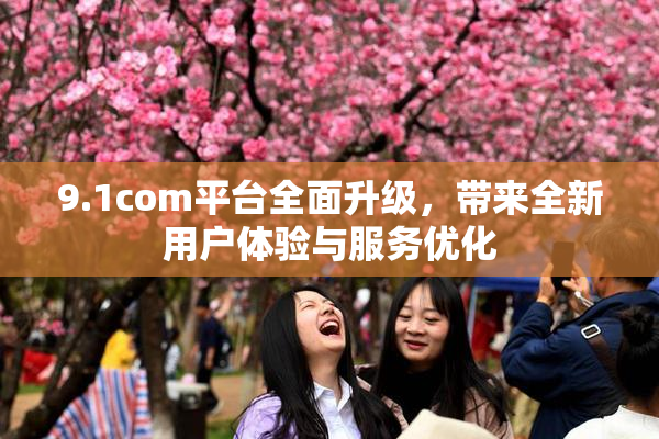 9.1com平台全面升级，带来全新用户体验与服务优化