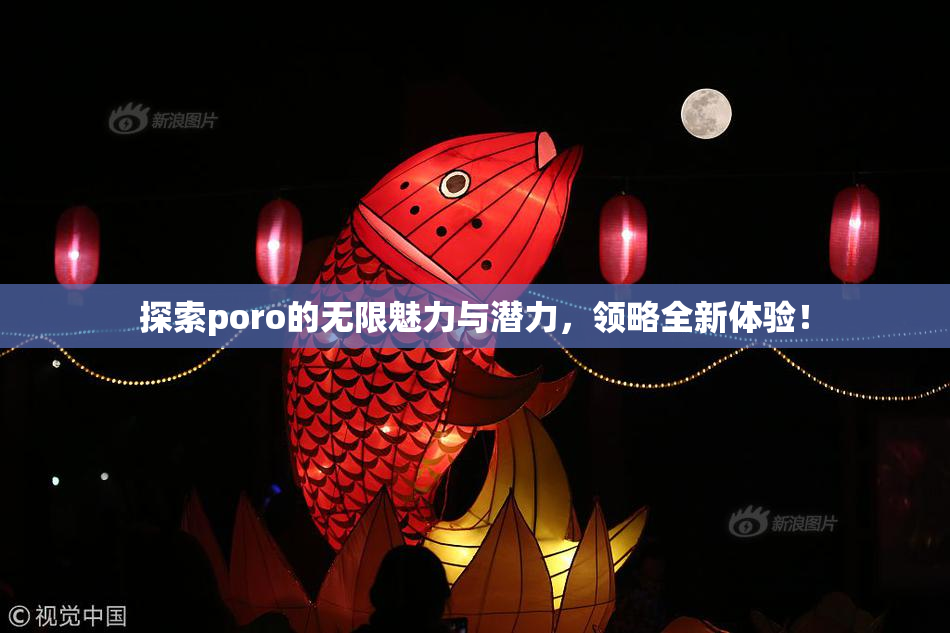 探索poro的无限魅力与潜力，领略全新体验！