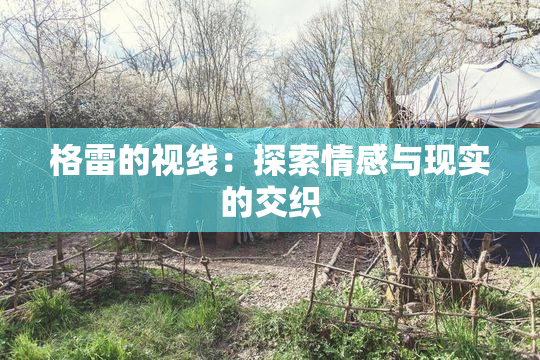 格雷的视线：探索情感与现实的交织