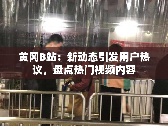 黄冈B站：新动态引发用户热议，盘点热门视频内容
