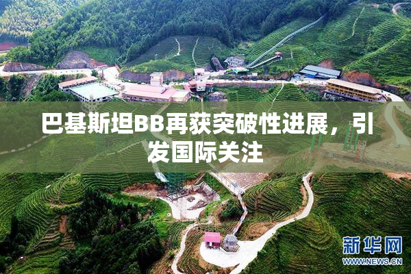 巴基斯坦BB再获突破性进展，引发国际关注