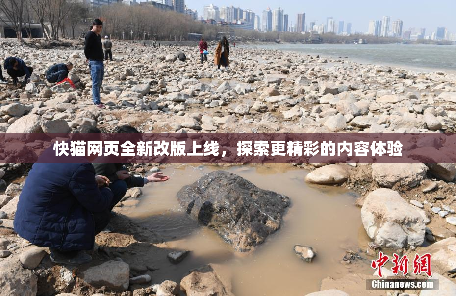 快猫网页全新改版上线，探索更精彩的内容体验