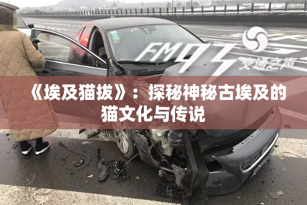 《埃及猫拔》：探秘神秘古埃及的猫文化与传说