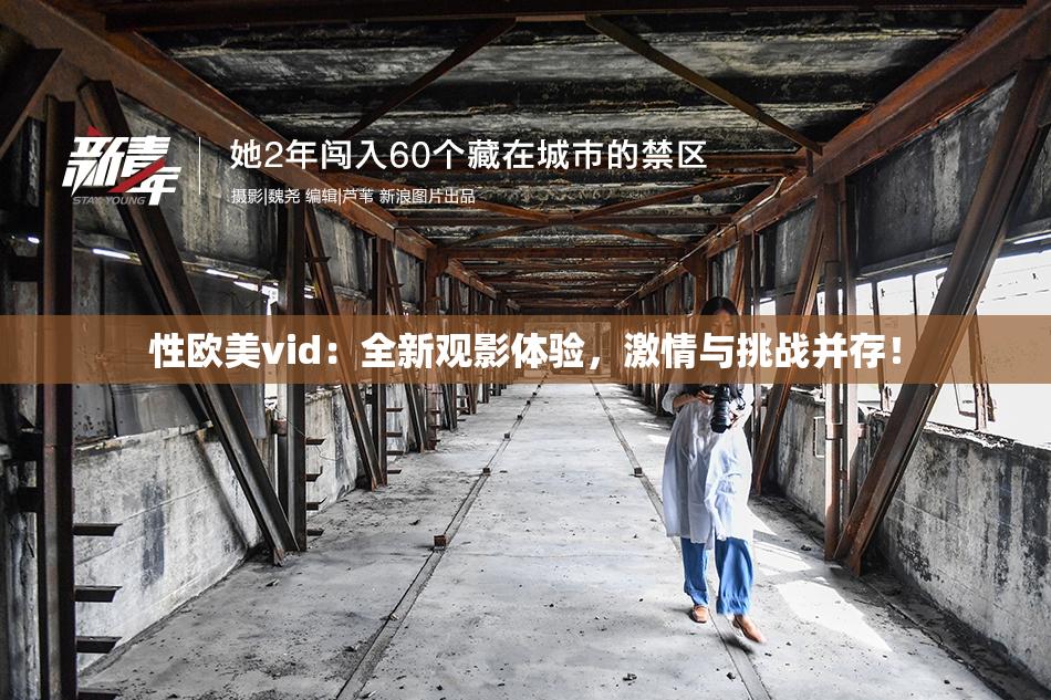 性欧美vid：全新观影体验，激情与挑战并存！