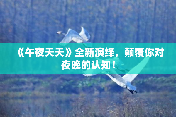 《午夜天天》全新演绎，颠覆你对夜晚的认知！