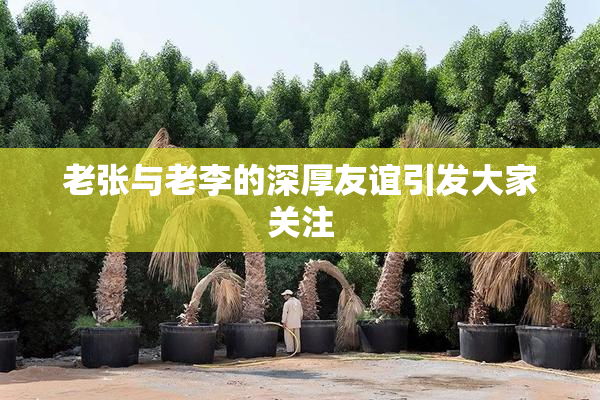 老张与老李的深厚友谊引发大家关注
