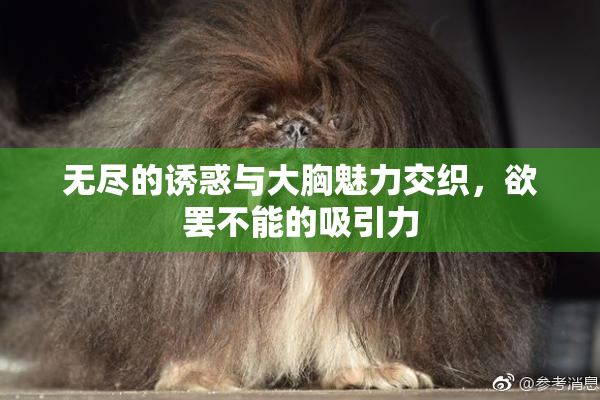 无尽的诱惑与大胸魅力交织，欲罢不能的吸引力