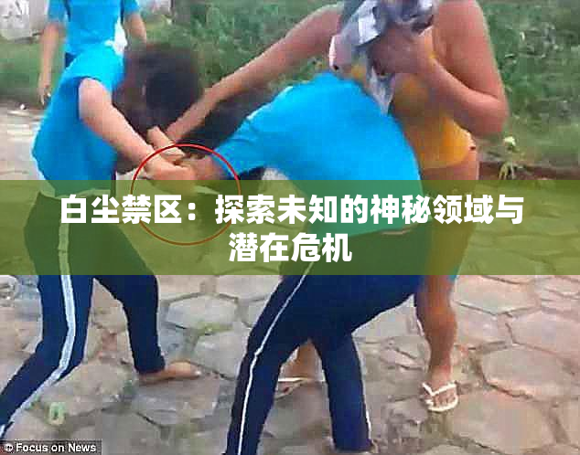 白尘禁区：探索未知的神秘领域与潜在危机