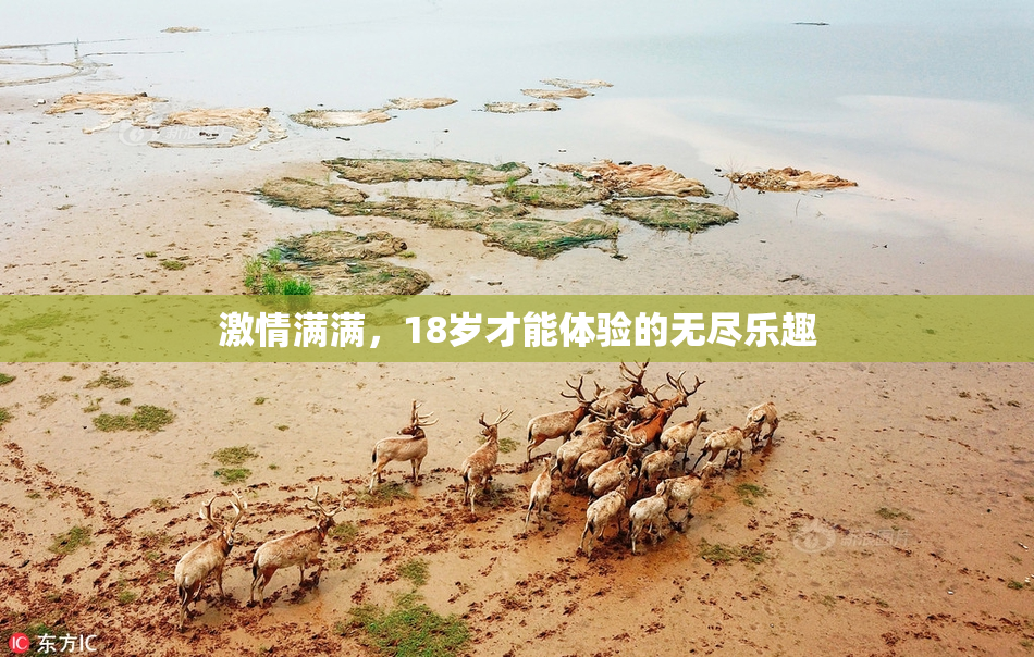 激情满满，18岁才能体验的无尽乐趣