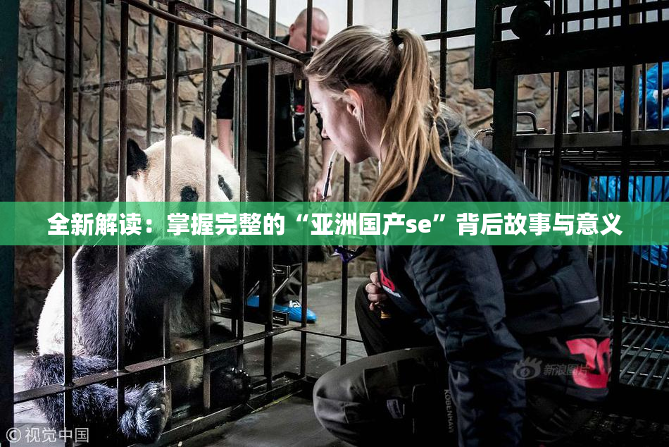 全新解读：掌握完整的“亚洲国产se”背后故事与意义