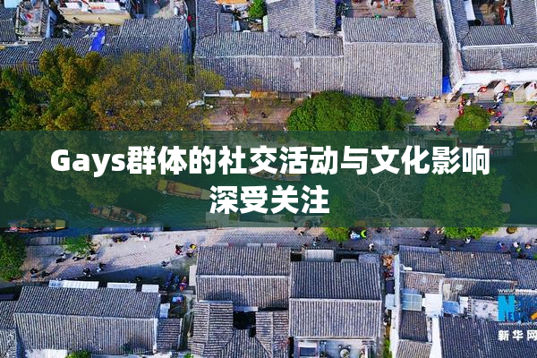 Gays群体的社交活动与文化影响深受关注