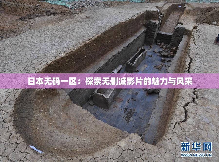 日本无码一区：探索无删减影片的魅力与风采