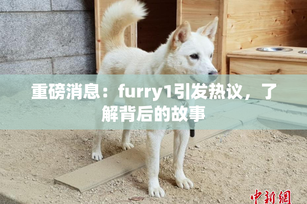 重磅消息：furry1引发热议，了解背后的故事