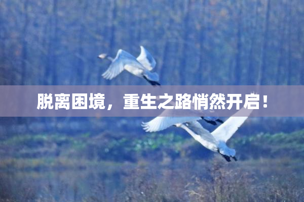 脱离困境，重生之路悄然开启！
