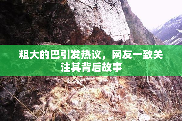 粗大的巴引发热议，网友一致关注其背后故事