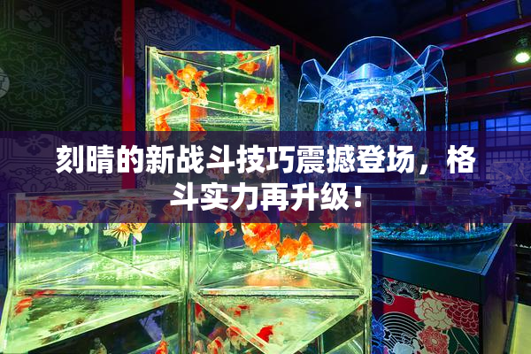 刻晴的新战斗技巧震撼登场，格斗实力再升级！