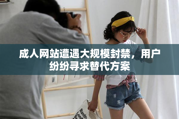 成人网站遭遇大规模封禁，用户纷纷寻求替代方案