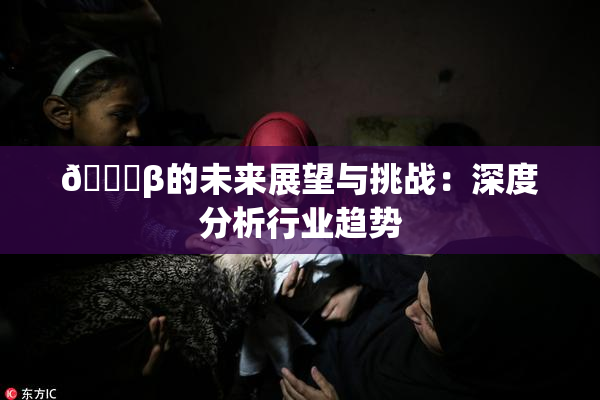 🔞β的未来展望与挑战：深度分析行业趋势