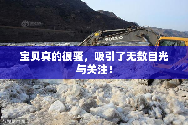 宝贝真的很骚，吸引了无数目光与关注！
