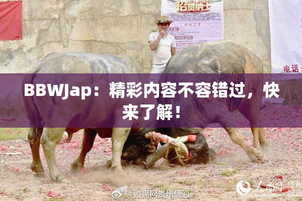BBWJap：精彩内容不容错过，快来了解！