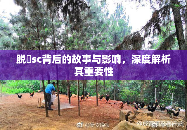 脱糞sc背后的故事与影响，深度解析其重要性