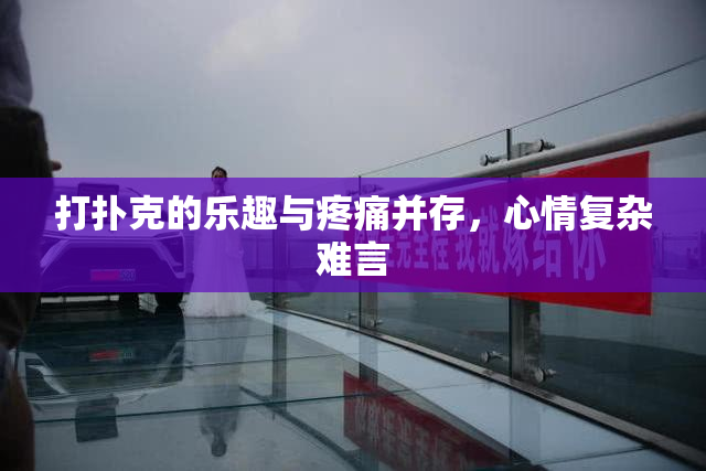 打扑克的乐趣与疼痛并存，心情复杂难言