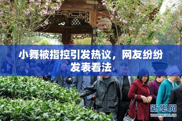 小舞被指控引发热议，网友纷纷发表看法