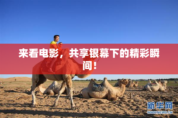 来看电影，共享银幕下的精彩瞬间！
