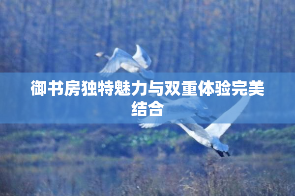 御书房独特魅力与双重体验完美结合