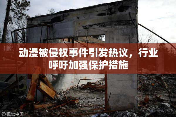 动漫被侵权事件引发热议，行业呼吁加强保护措施