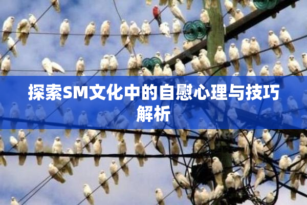 探索SM文化中的自慰心理与技巧解析