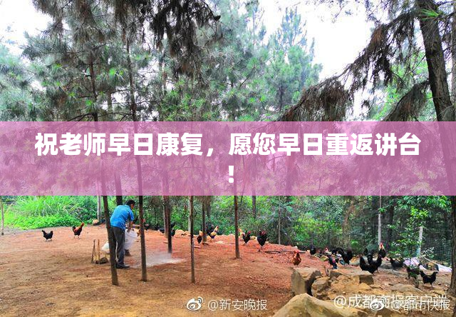 祝老师早日康复，愿您早日重返讲台！