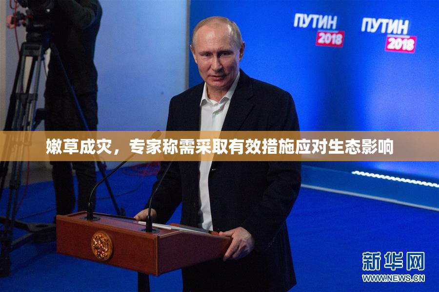 嫩草成灾，专家称需采取有效措施应对生态影响