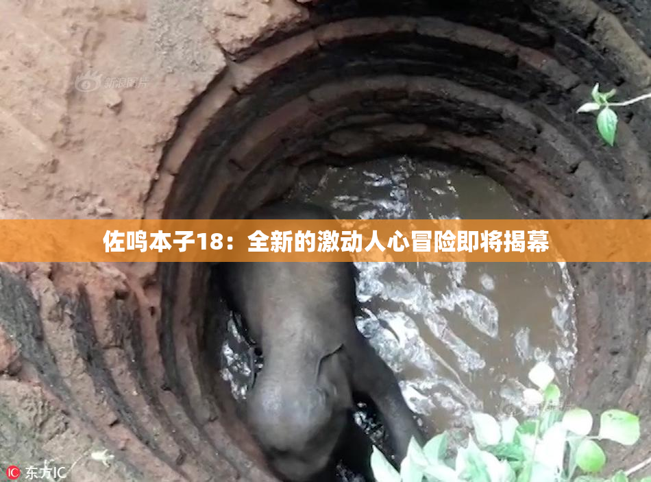 佐鸣本子18：全新的激动人心冒险即将揭幕
