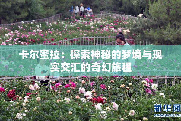 卡尔蜜拉：探索神秘的梦境与现实交汇的奇幻旅程