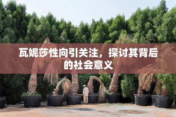 瓦妮莎性向引关注，探讨其背后的社会意义