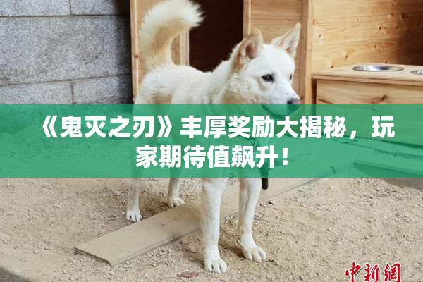 《鬼灭之刃》丰厚奖励大揭秘，玩家期待值飙升！