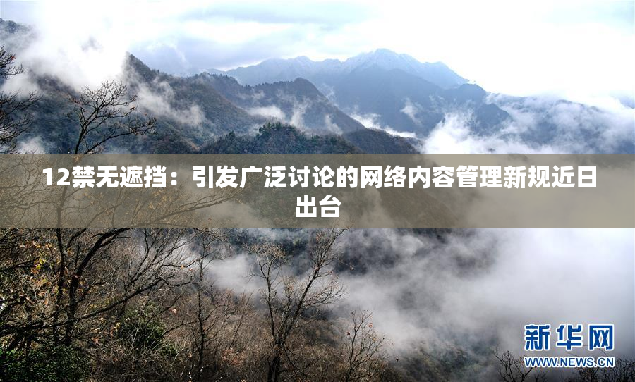 12禁无遮挡：引发广泛讨论的网络内容管理新规近日出台