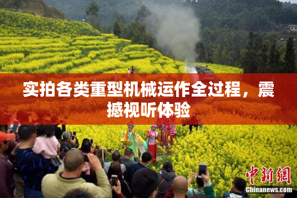实拍各类重型机械运作全过程，震撼视听体验