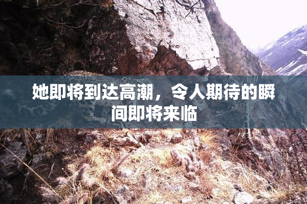 她即将到达高潮，令人期待的瞬间即将来临