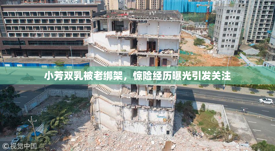 小芳双乳被老绑架，惊险经历曝光引发关注
